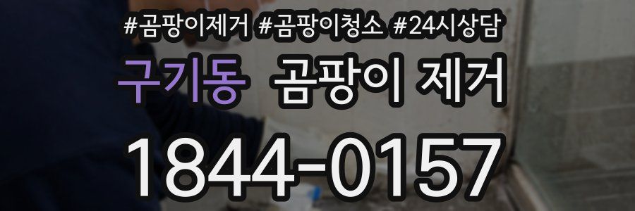 구기동 곰팡이 제거