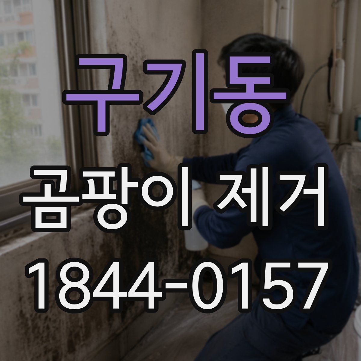 구기동 곰팡이 제거