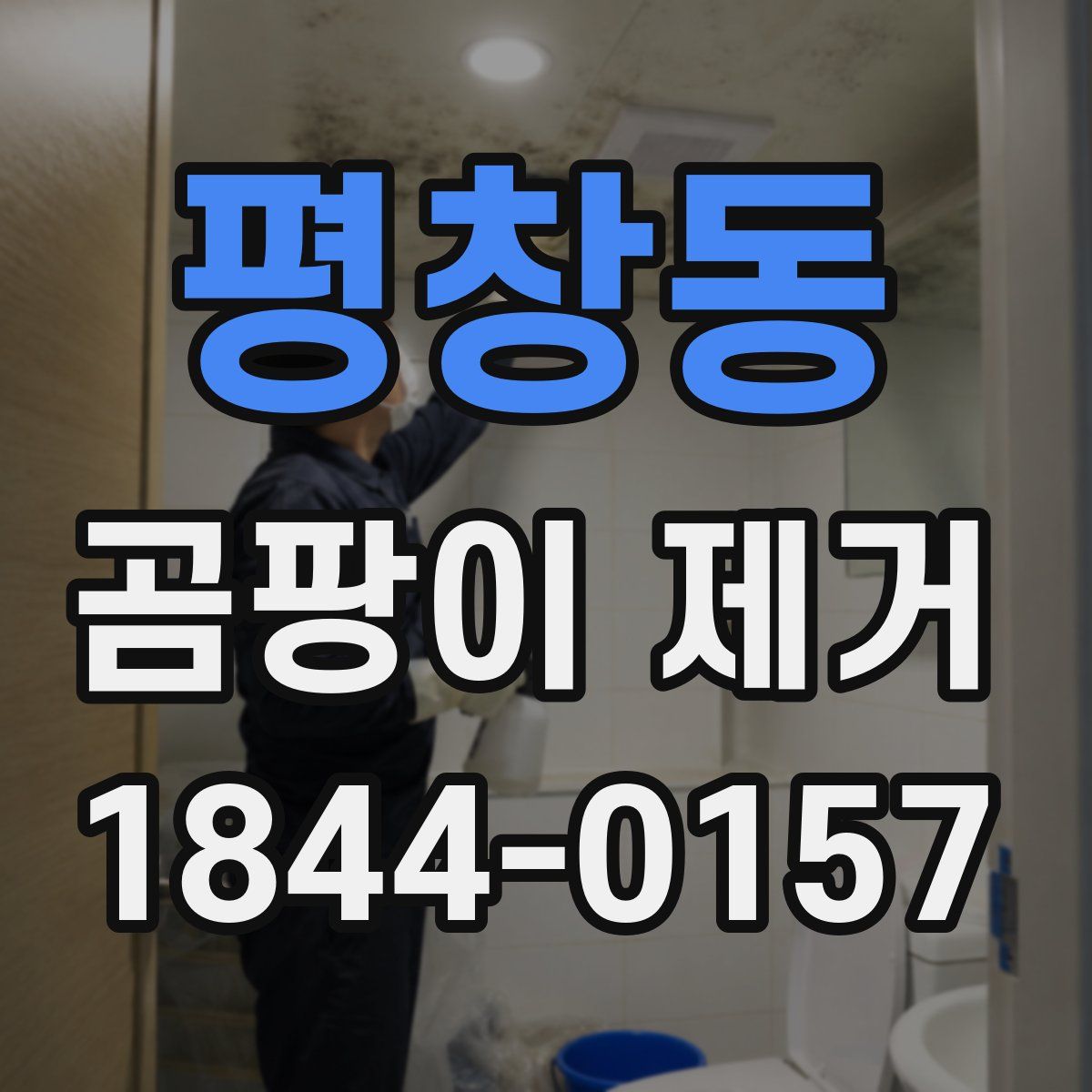 평창동 곰팡이 제거