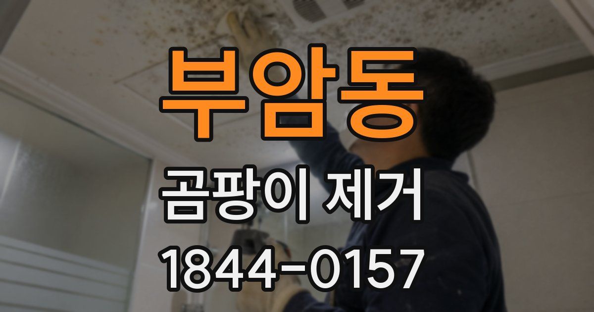 부암동 곰팡이 제거