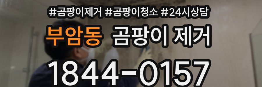 부암동 곰팡이 제거