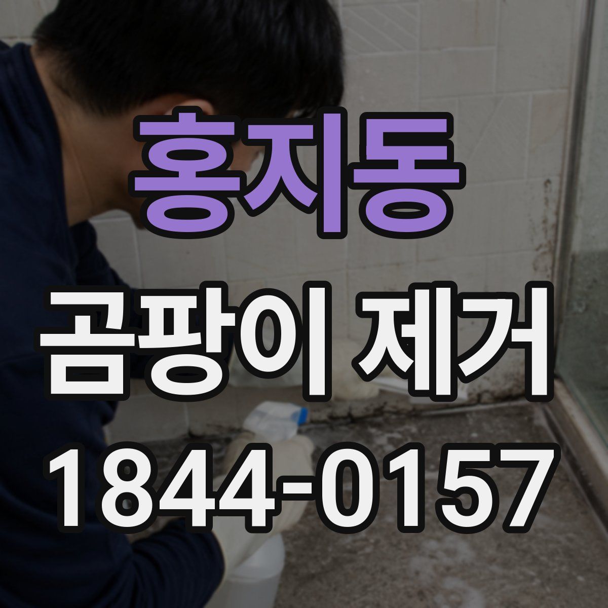 홍지동 곰팡이 제거