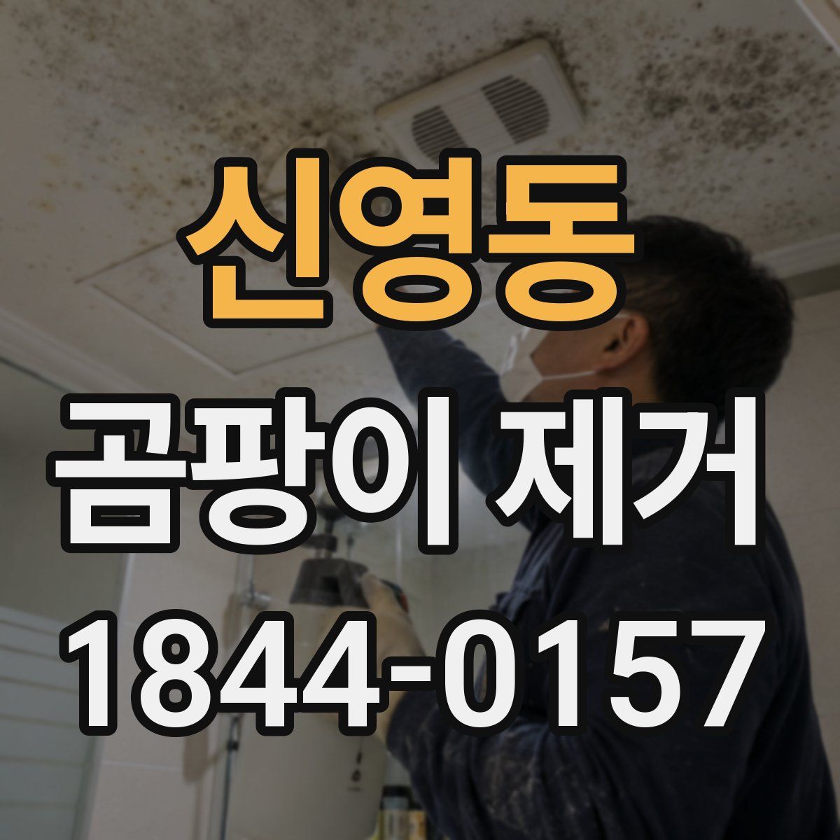 신영동 곰팡이 제거