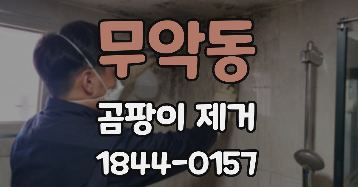 무악동 곰팡이 제거
