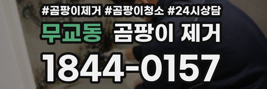 무교동 곰팡이 제거