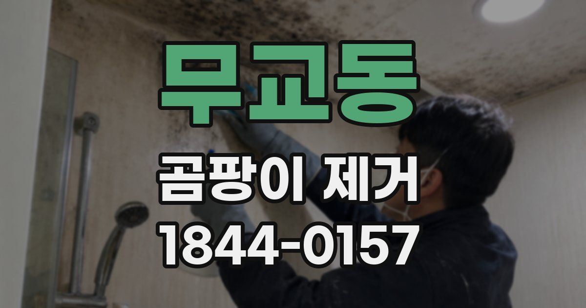 무교동 곰팡이 제거