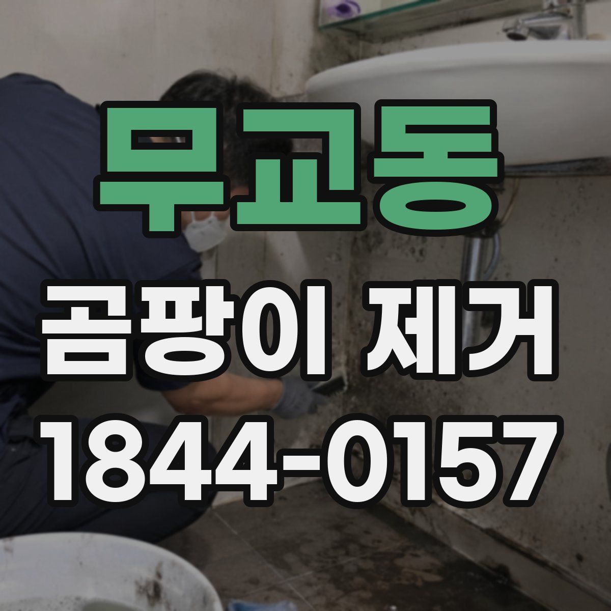 무교동 곰팡이 제거