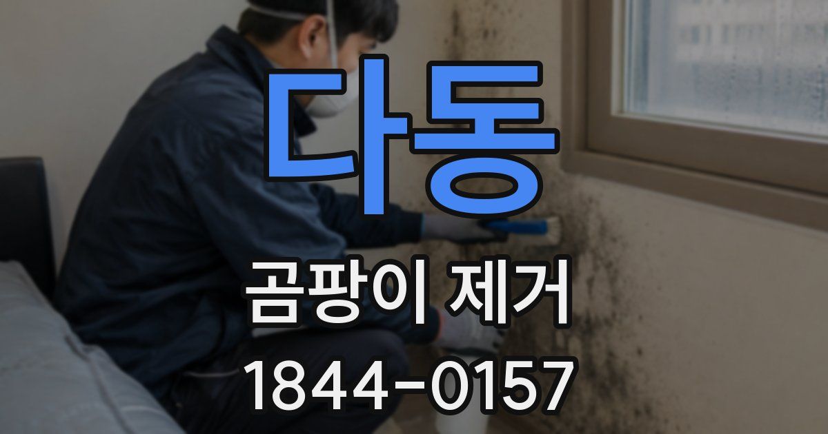 다동 곰팡이 제거