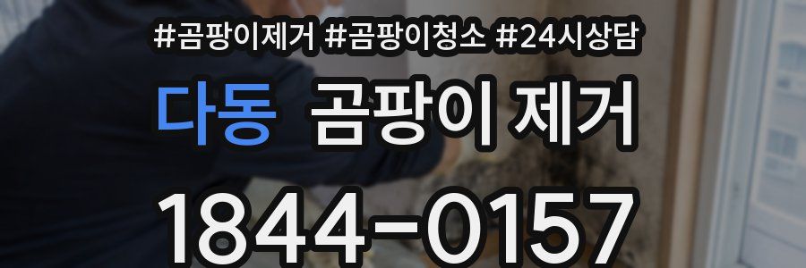 다동 곰팡이 제거