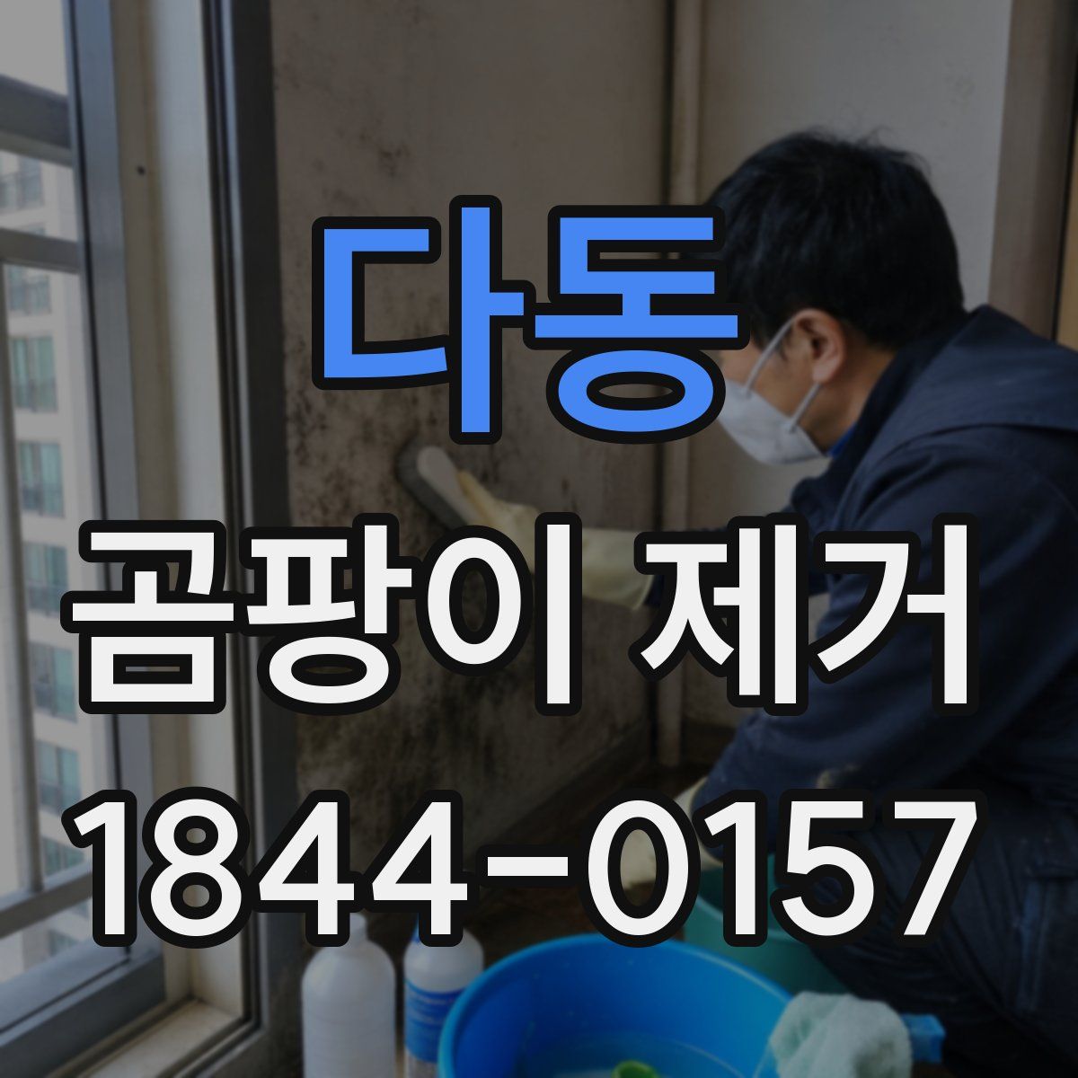 다동 곰팡이 제거