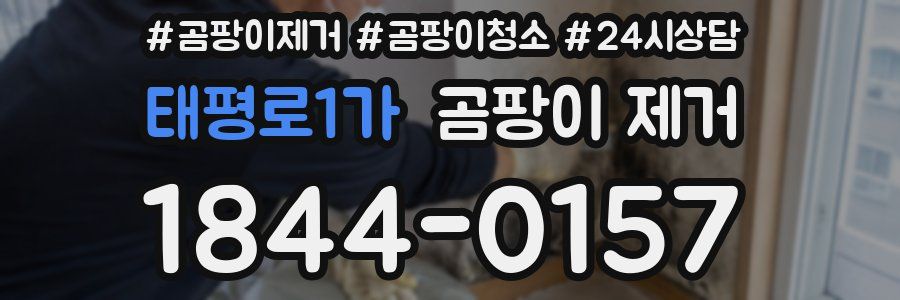 태평로1가 곰팡이 제거