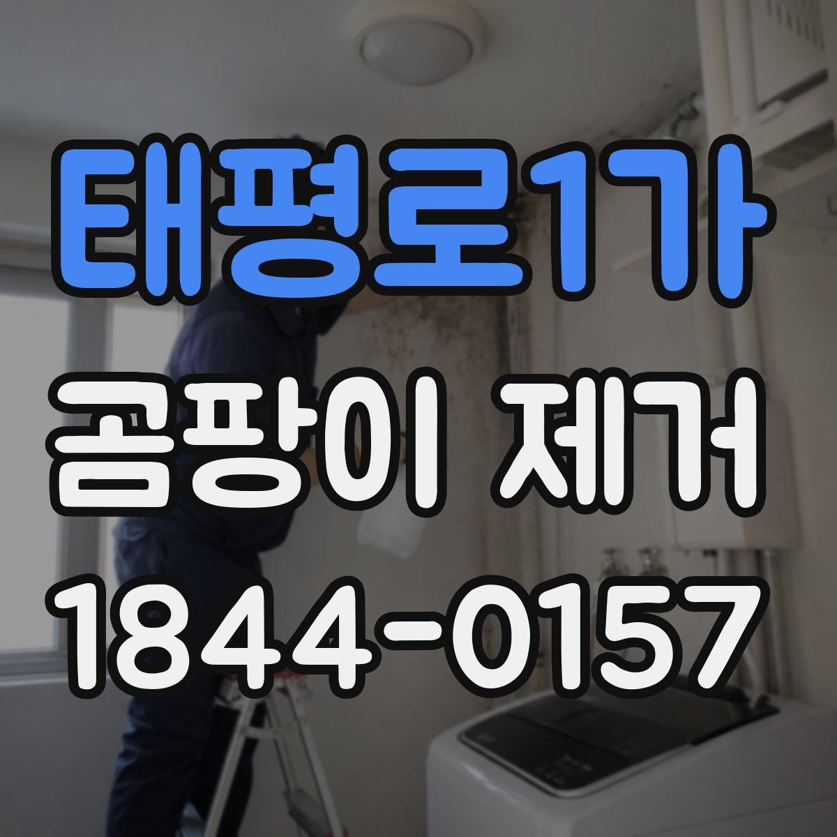 태평로1가 곰팡이 제거