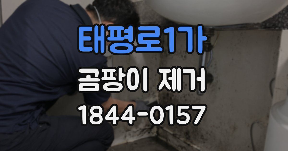 태평로1가 곰팡이 제거