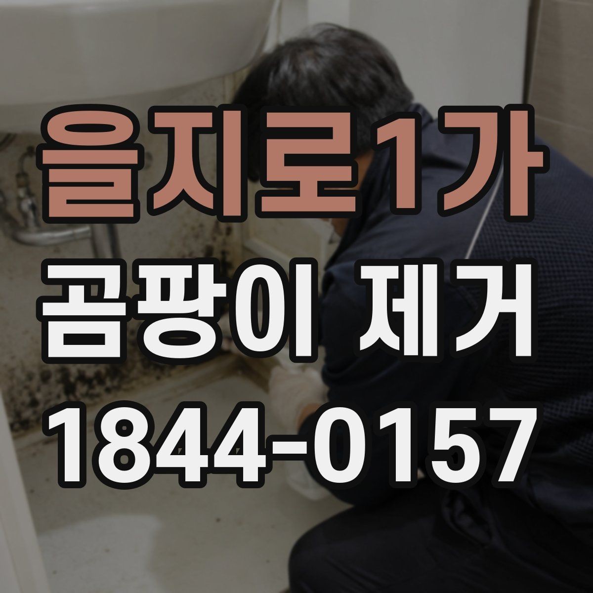 을지로1가 곰팡이 제거 도배 전 벽면 상태를 살피는 방법