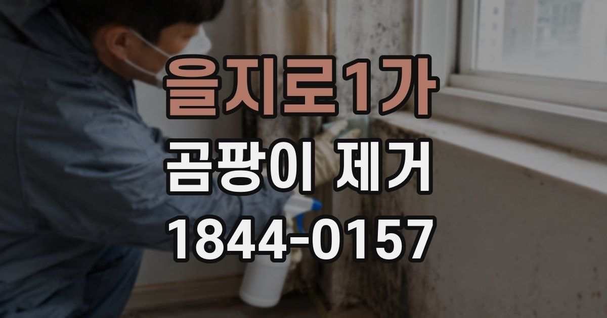 을지로1가 곰팡이 제거
