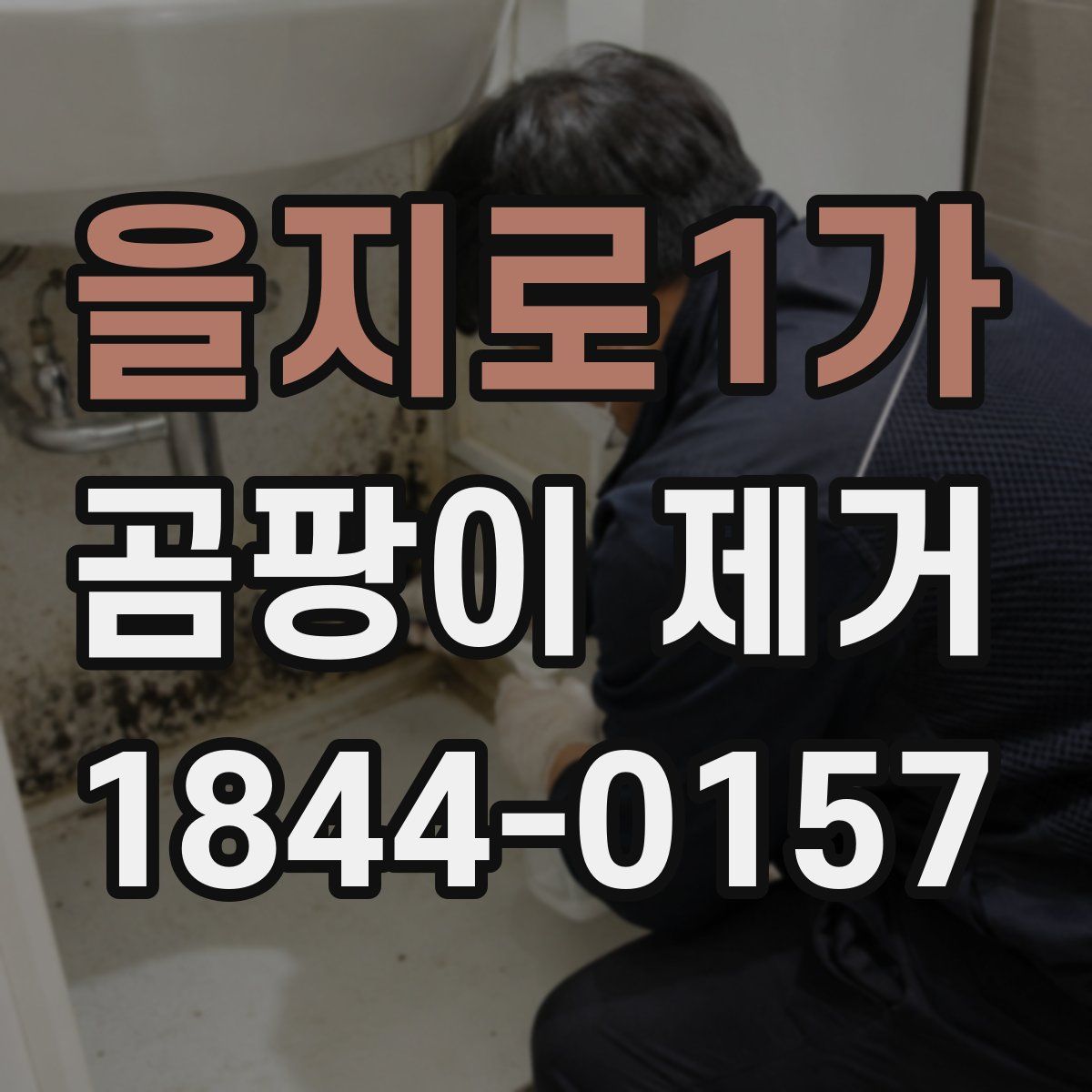 을지로1가 곰팡이 제거