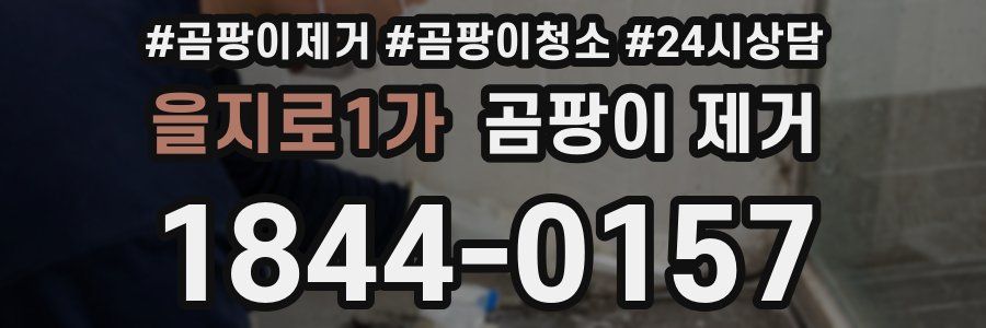 을지로1가 곰팡이 제거