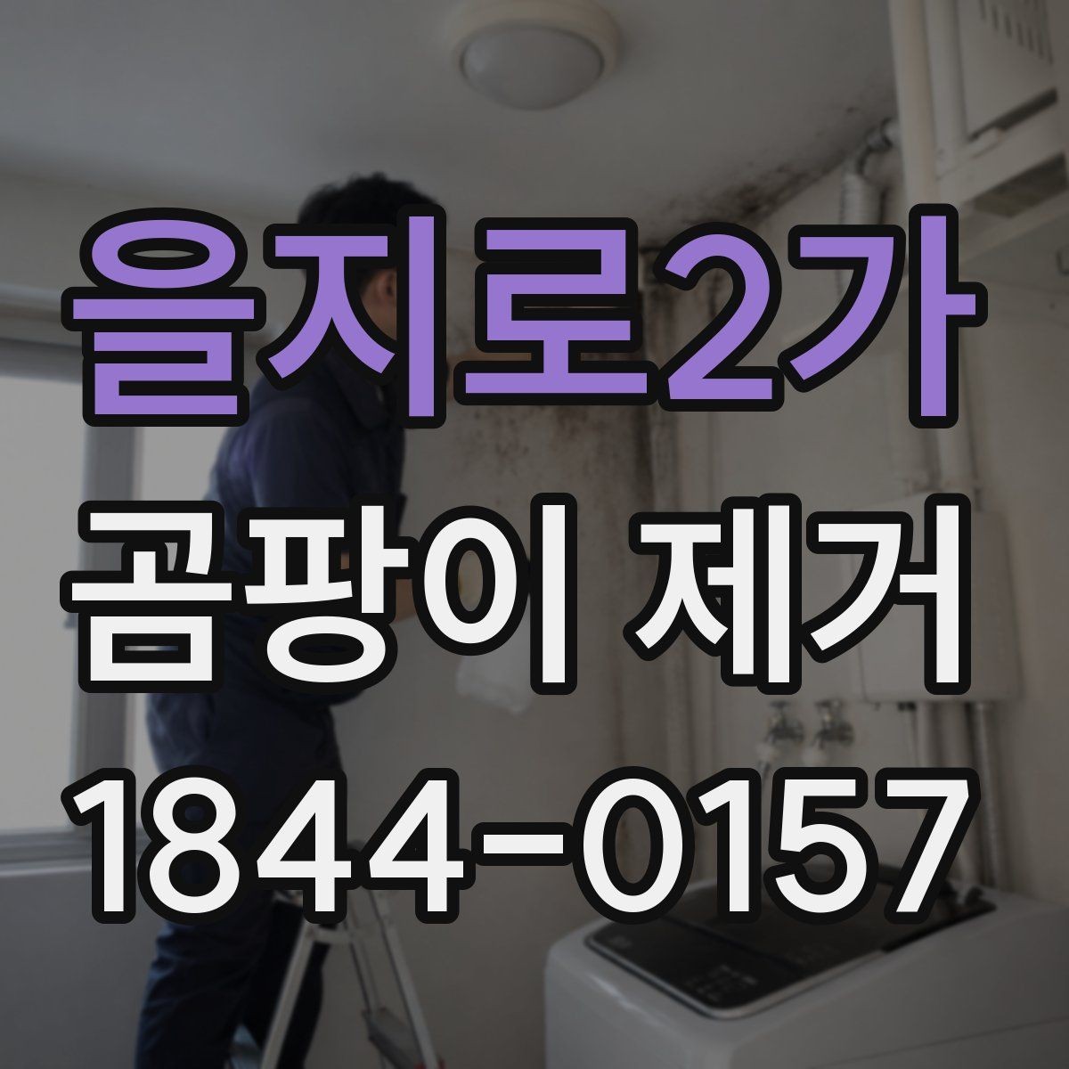 을지로2가 곰팡이 제거 환기 부족한 공간에서 우선 볼 곳
