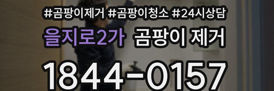 을지로2가 곰팡이 제거