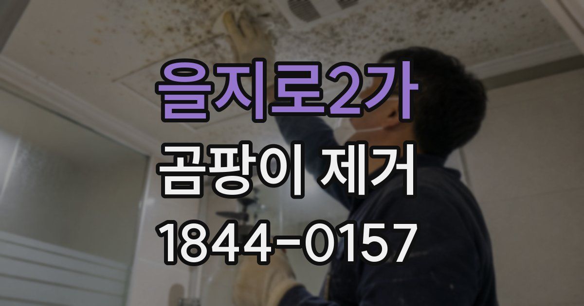 을지로2가 곰팡이 제거
