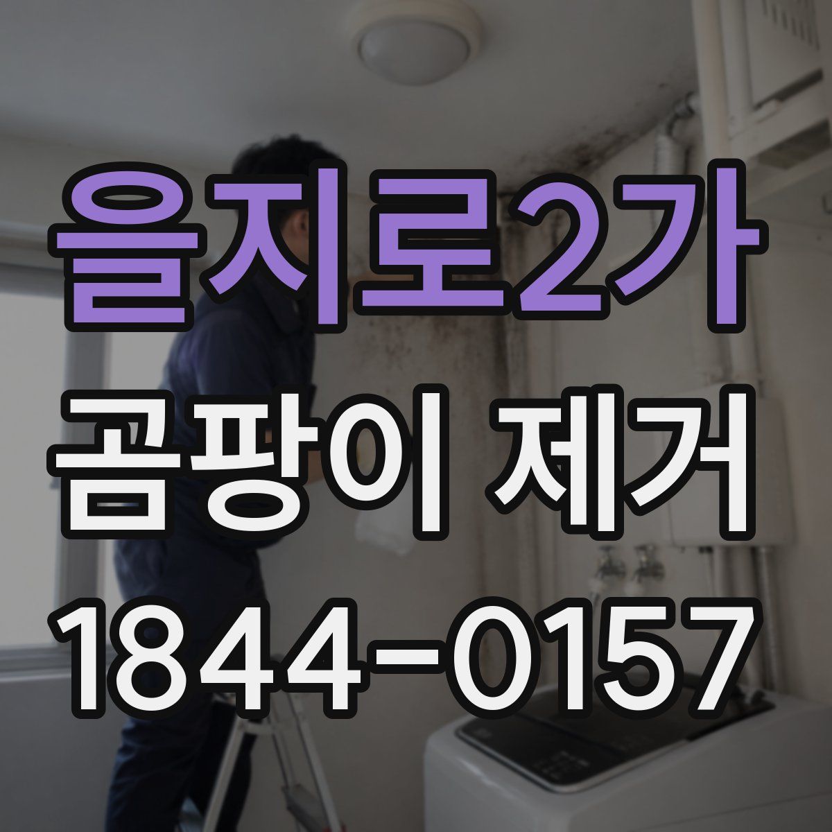 을지로2가 곰팡이 제거