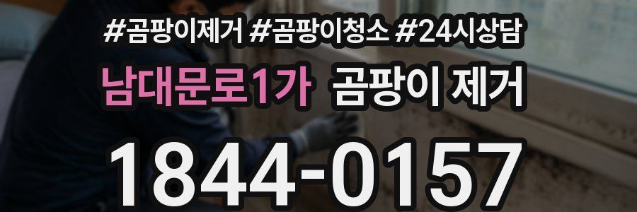 남대문로1가 곰팡이 제거