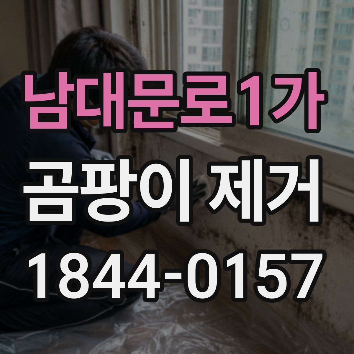 남대문로1가 곰팡이 제거