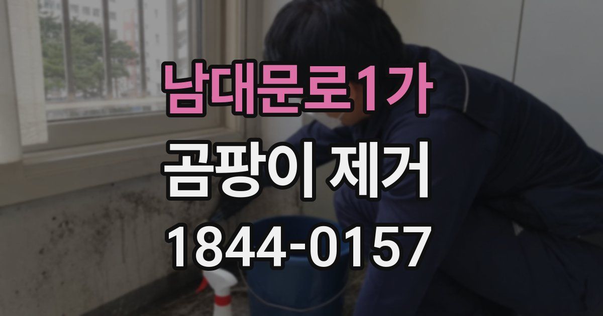 남대문로1가 곰팡이 제거