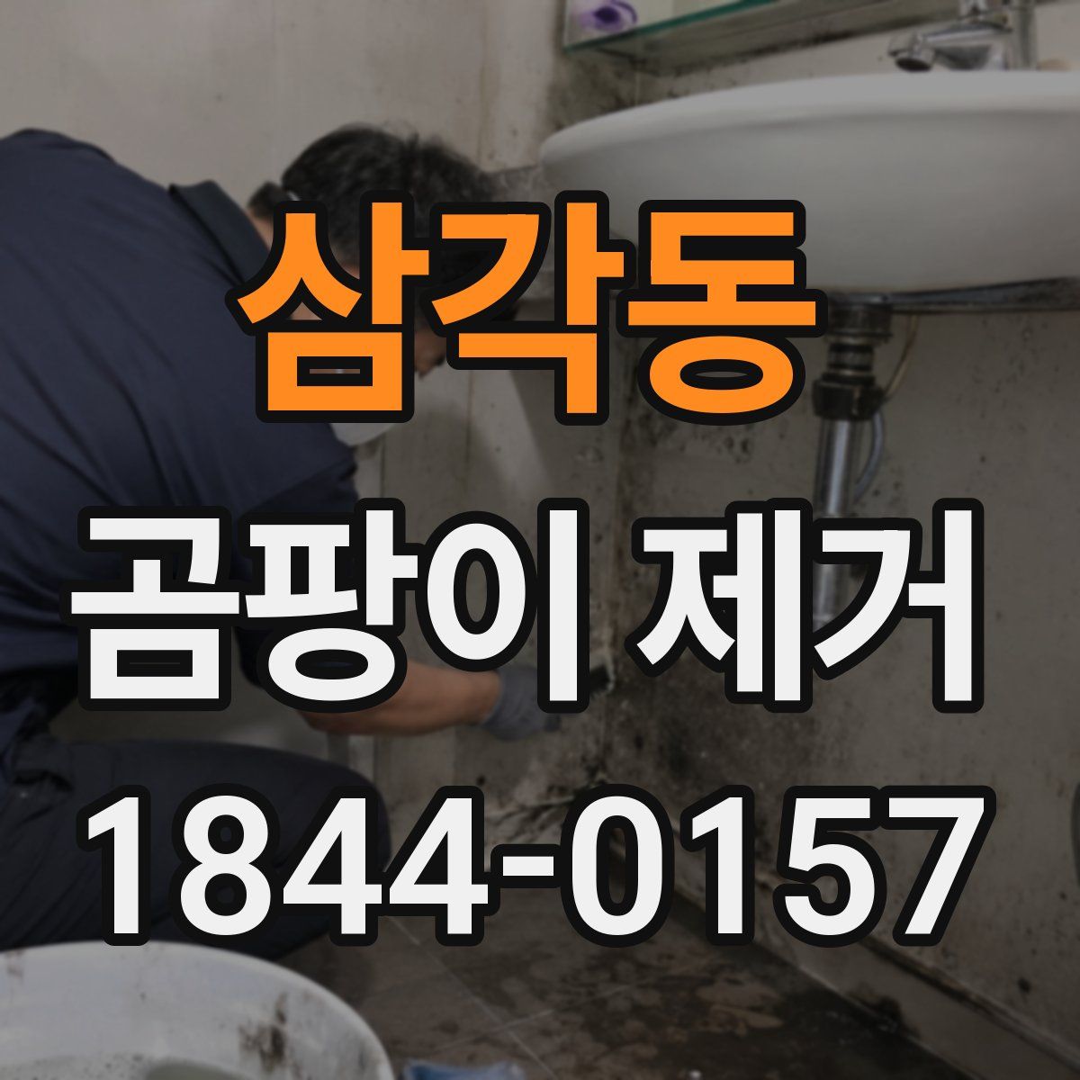 삼각동 곰팡이 제거
