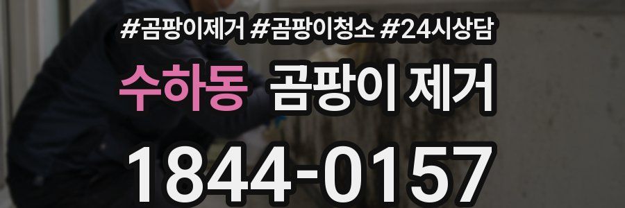 수하동 곰팡이 제거