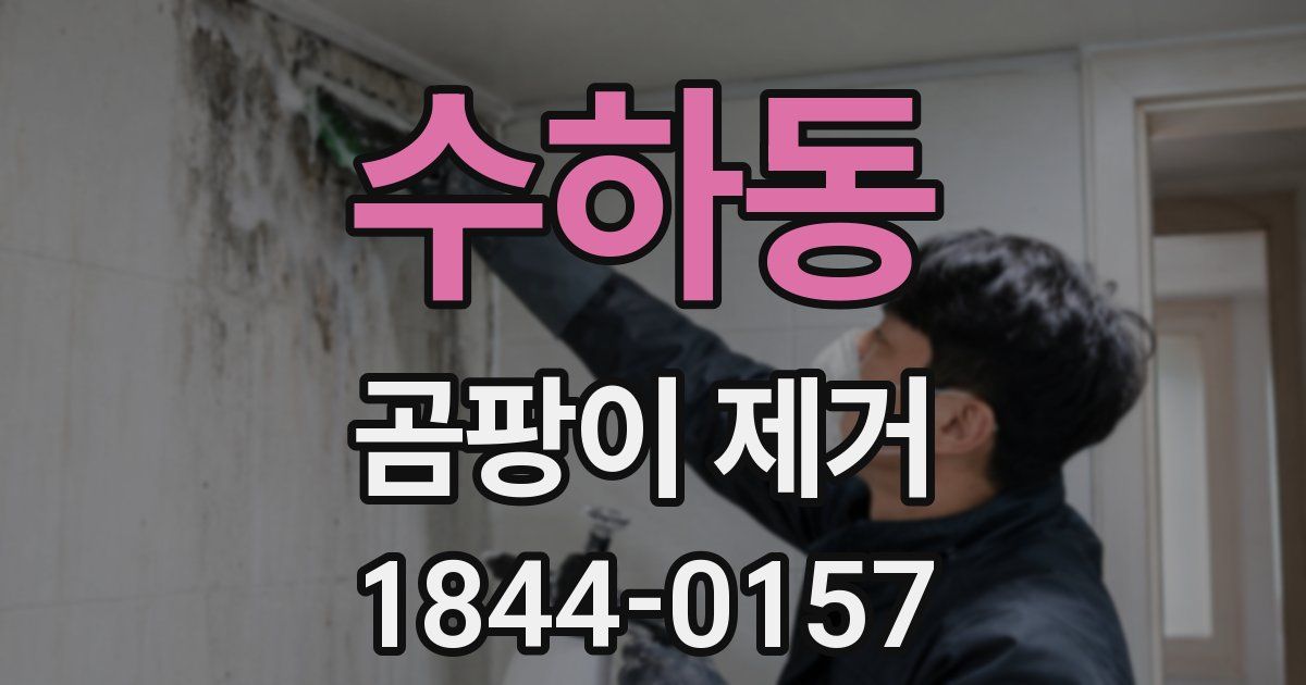 수하동 곰팡이 제거
