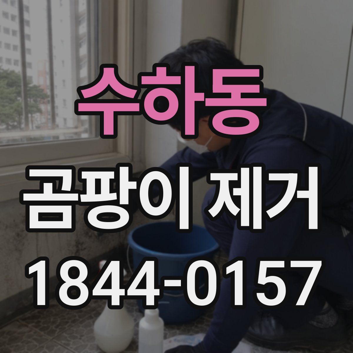 수하동 곰팡이 제거