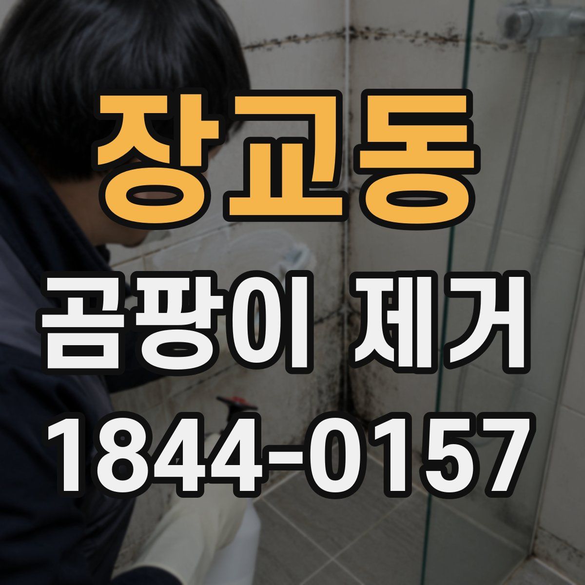 장교동 곰팡이 제거