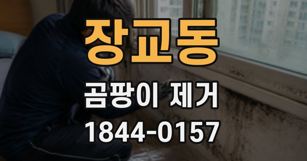 장교동 곰팡이 제거