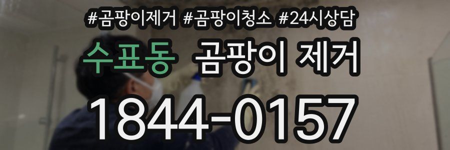 수표동 곰팡이 제거