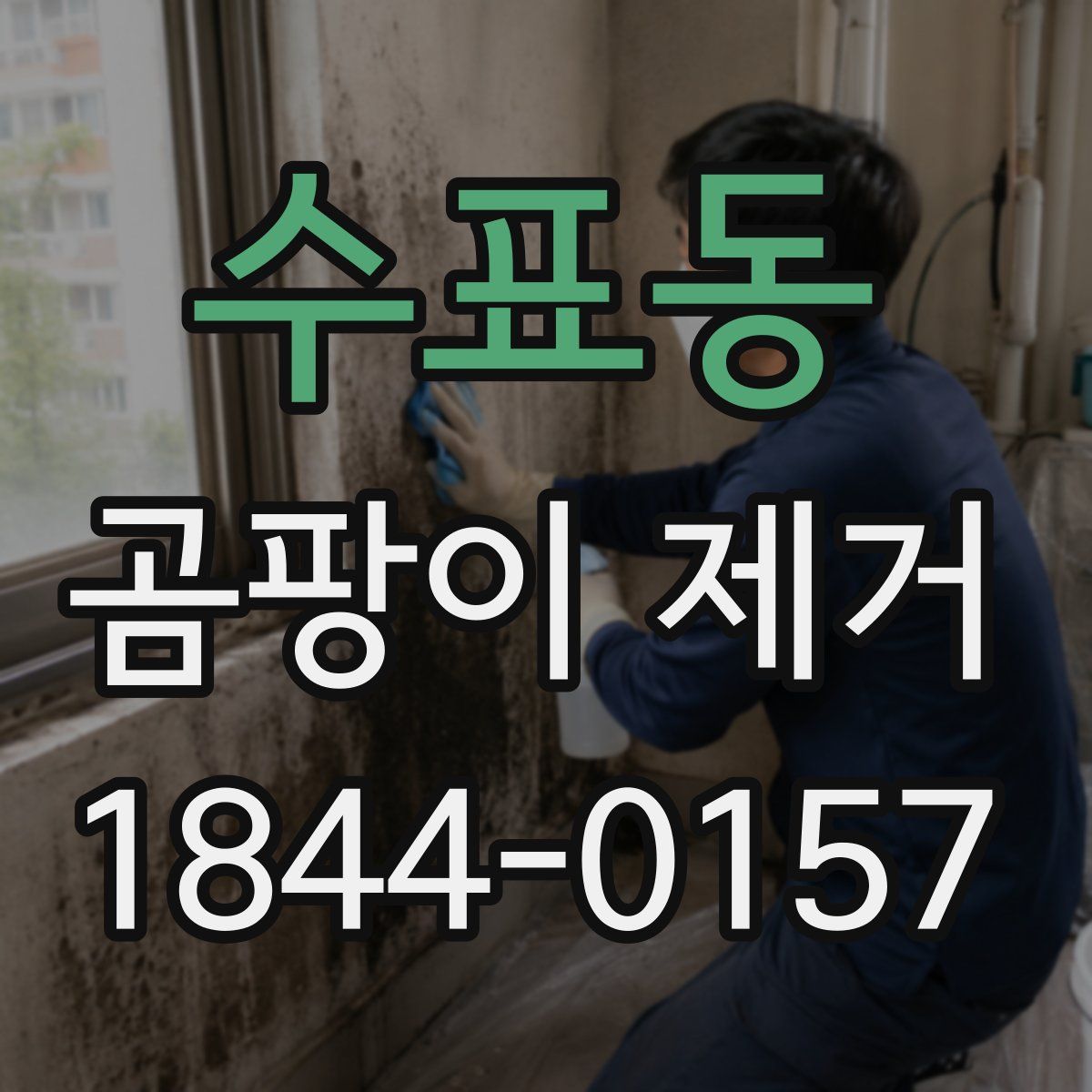 수표동 곰팡이 제거