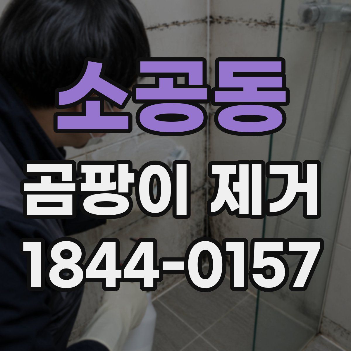 소공동 곰팡이 제거
