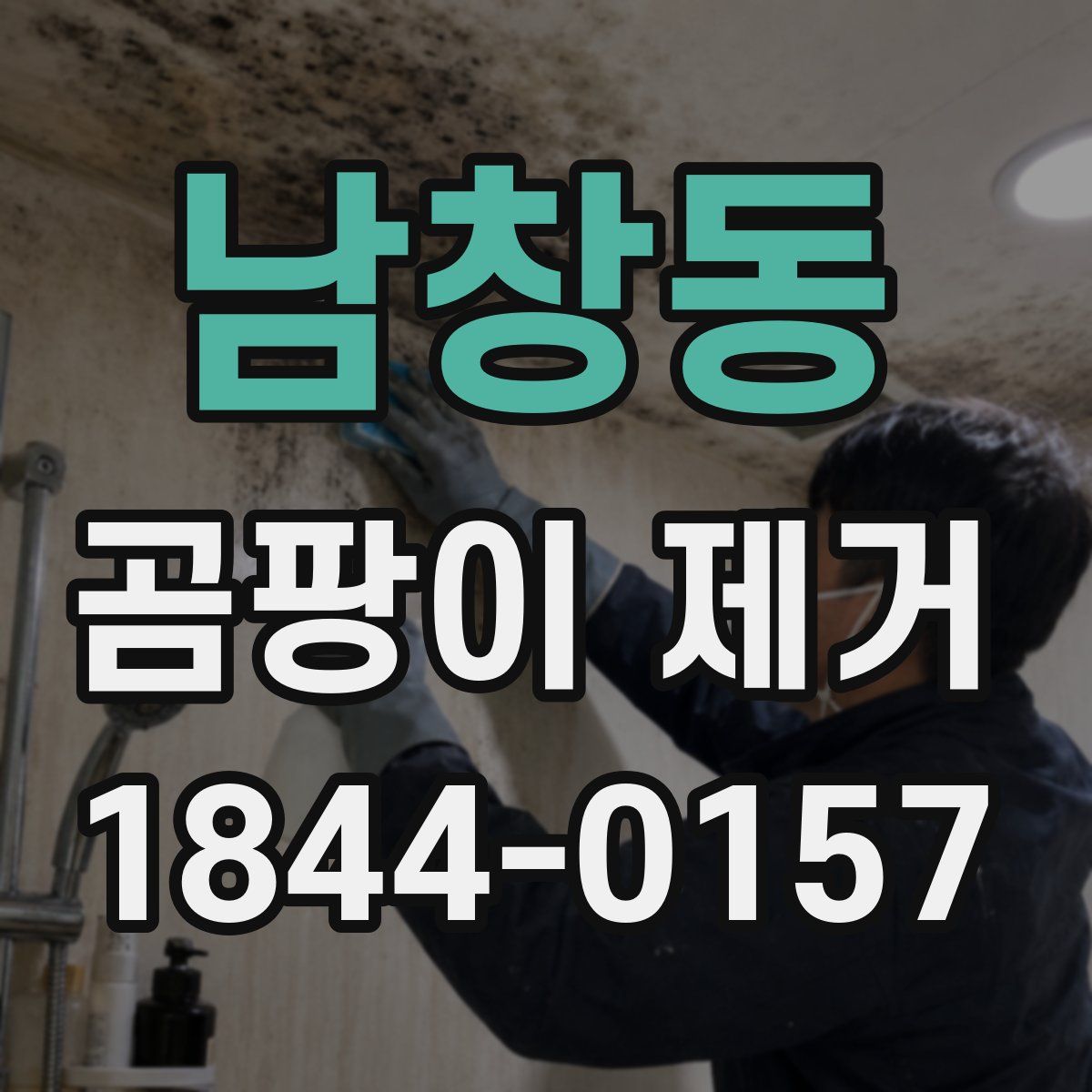 남창동 곰팡이 제거