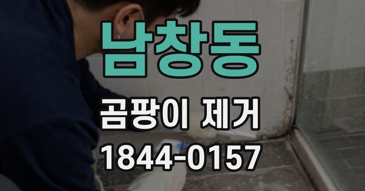 남창동 곰팡이 제거