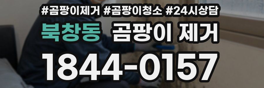 북창동 곰팡이 제거