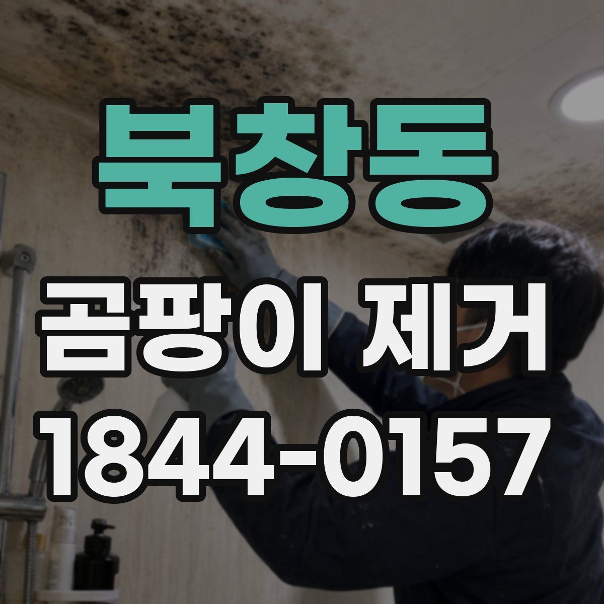 북창동 곰팡이 제거