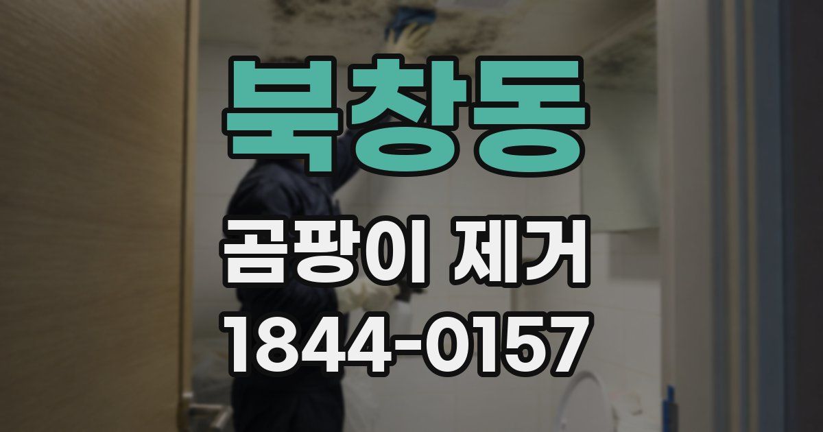 북창동 곰팡이 제거