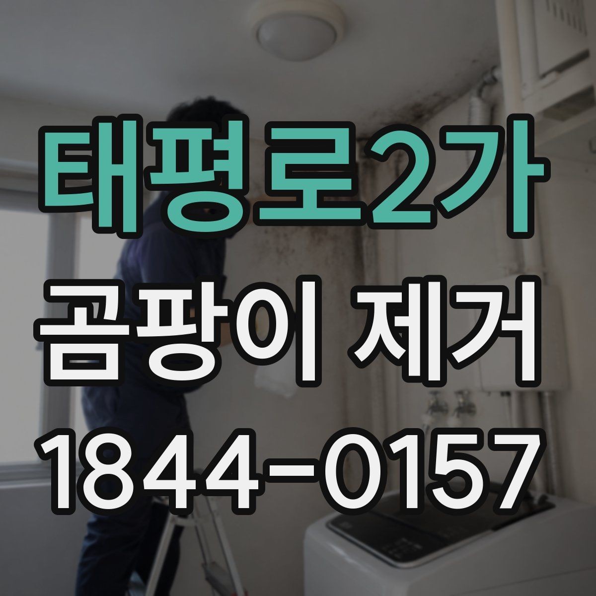 태평로2가 곰팡이 제거 벽지와 마감재별 대처 차이