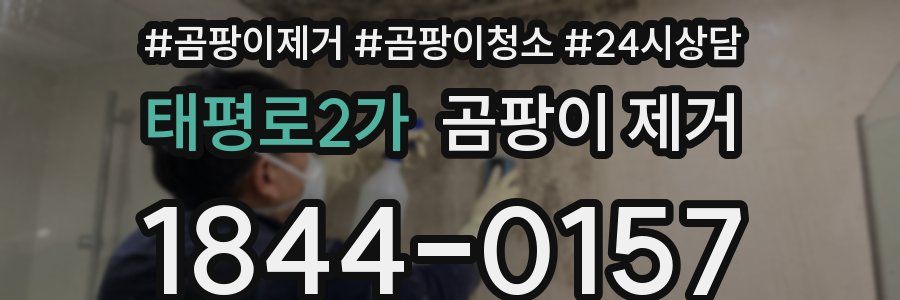 태평로2가 곰팡이 제거