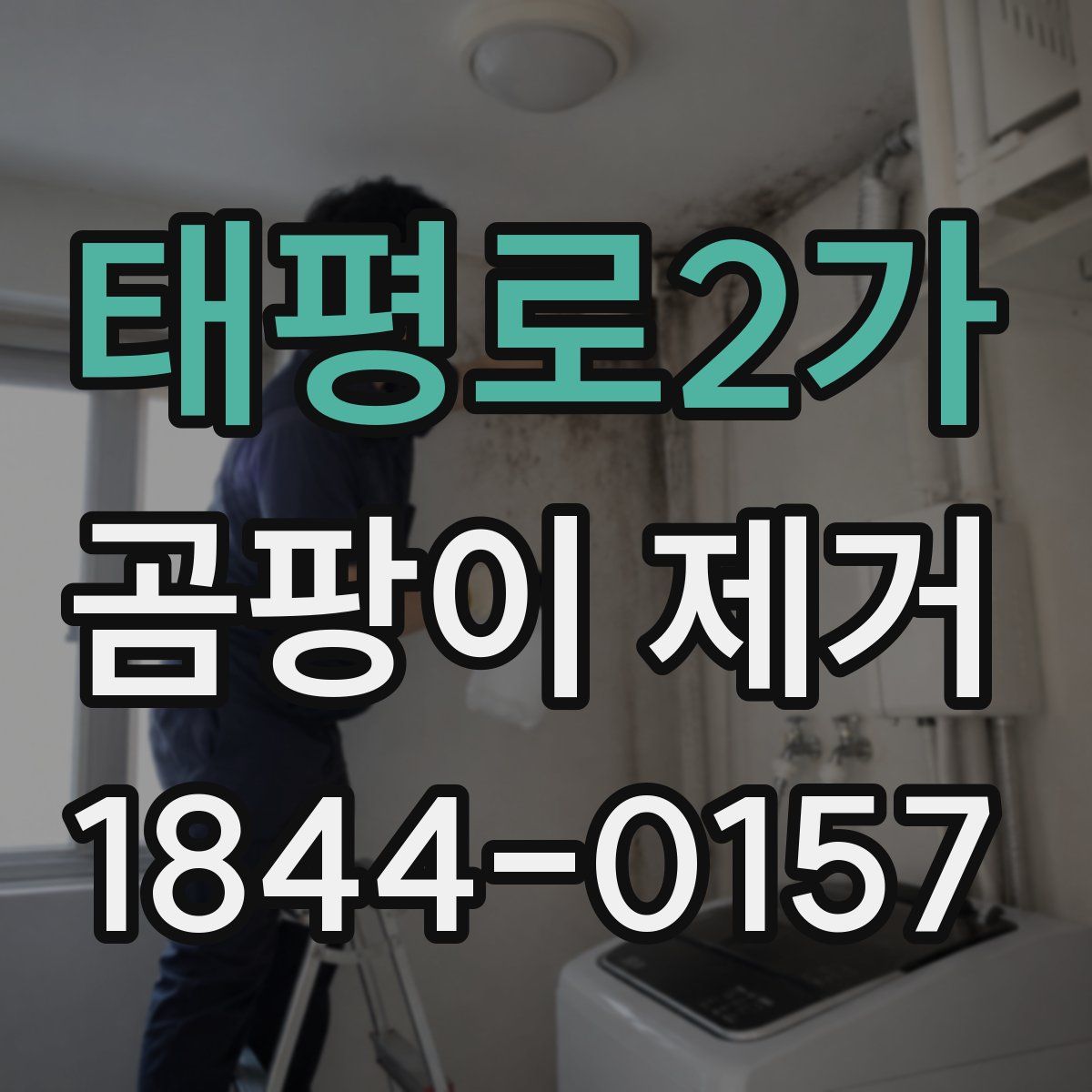 태평로2가 곰팡이 제거