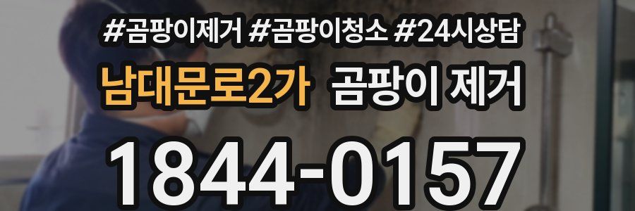 남대문로2가 곰팡이 제거