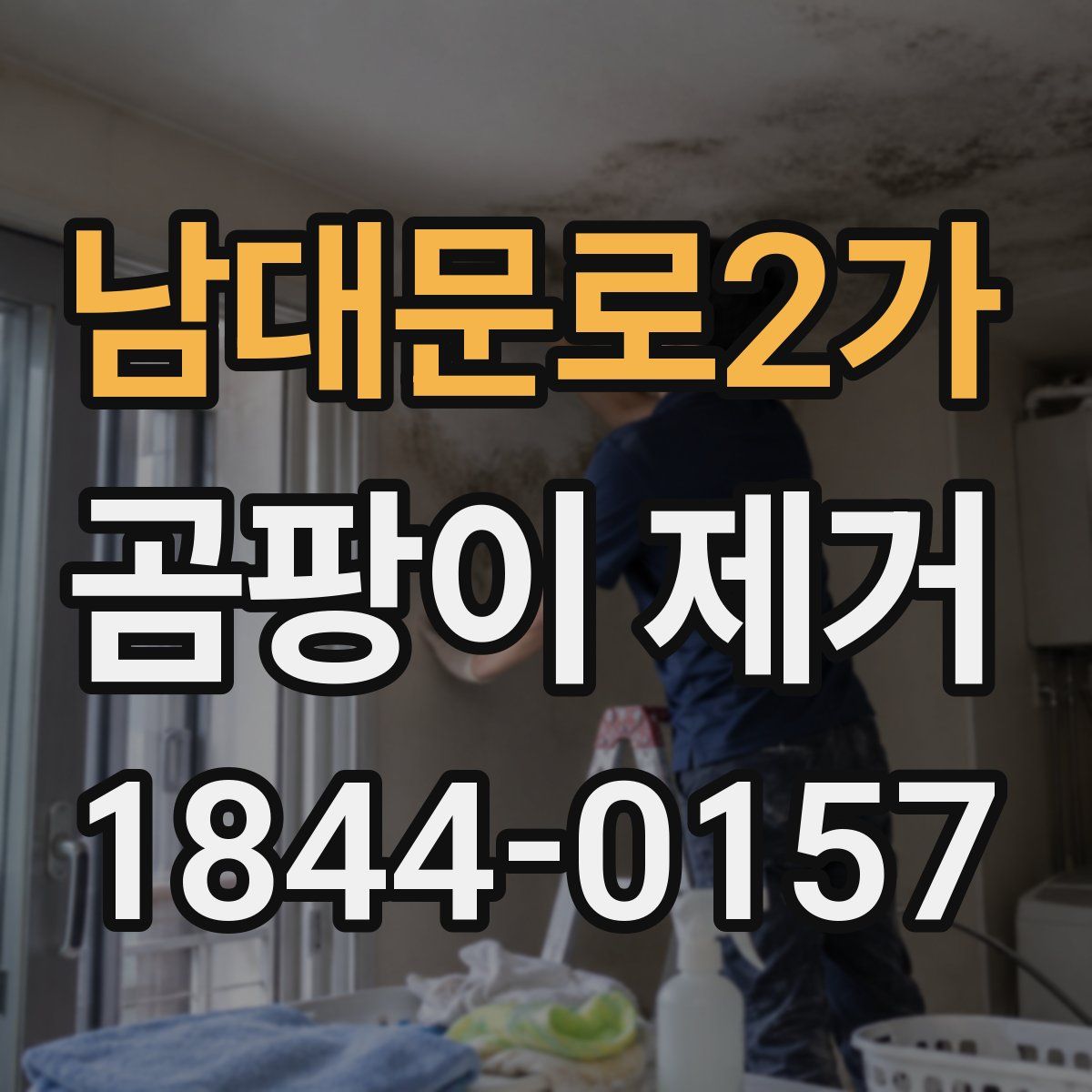 남대문로2가 곰팡이 제거