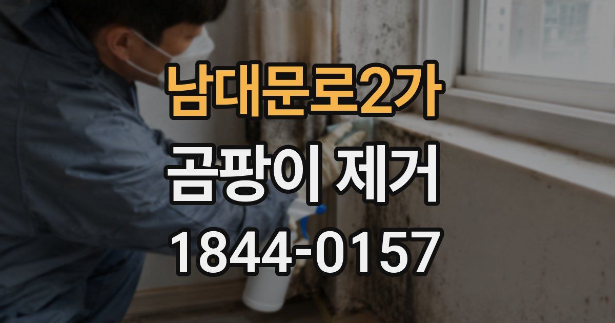 남대문로2가 곰팡이 제거