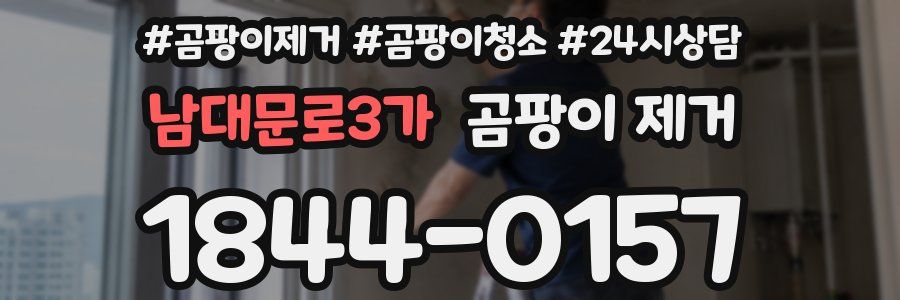 남대문로3가 곰팡이 제거