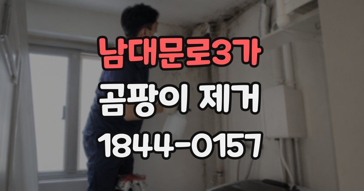 남대문로3가 곰팡이 제거